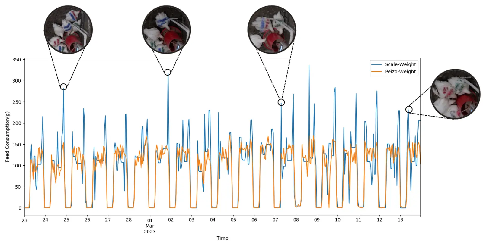 Time series of feed consumption over about 20 days, comparing scale weight with the piezo-based estimate, with camera snapshots at several peaks.